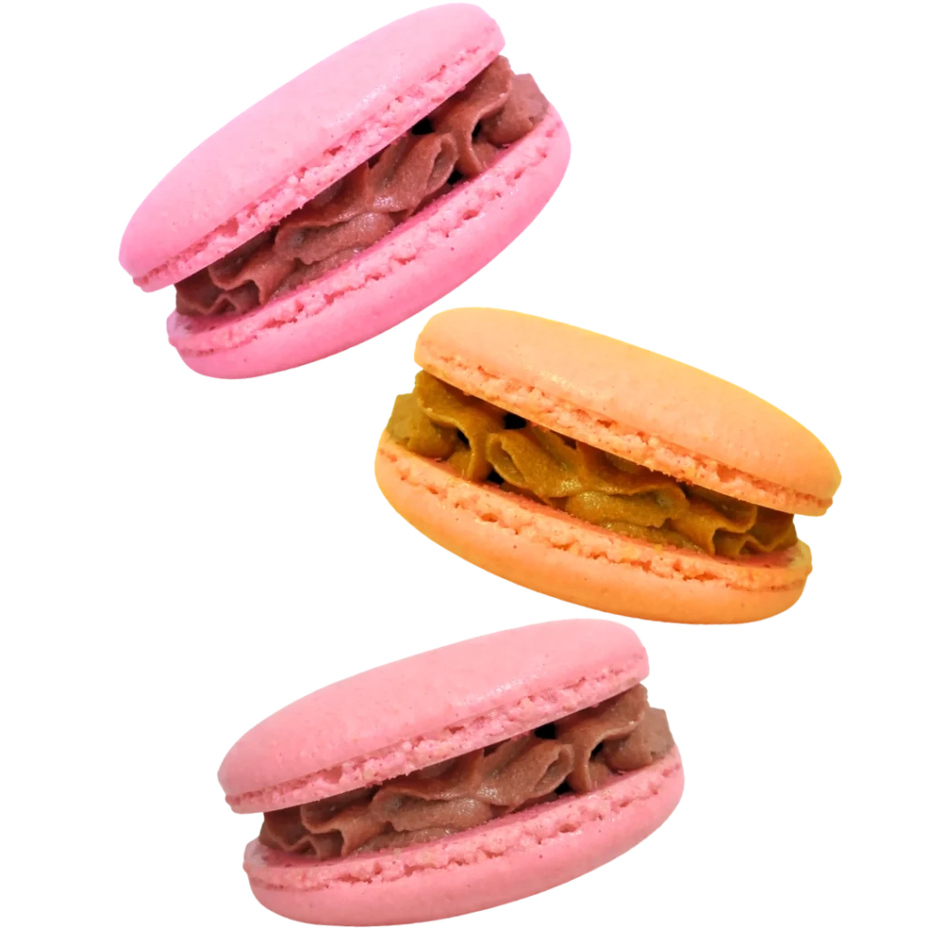 Macarons for Events and Gifts by Sinful Succulence